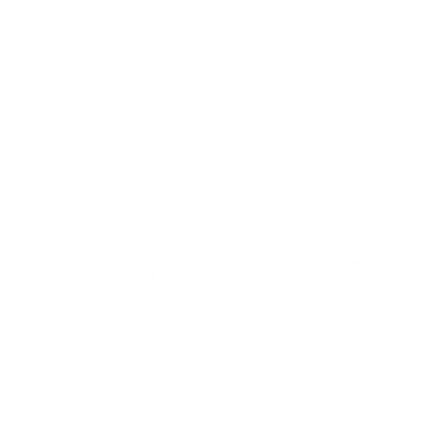 BirdsAtFive